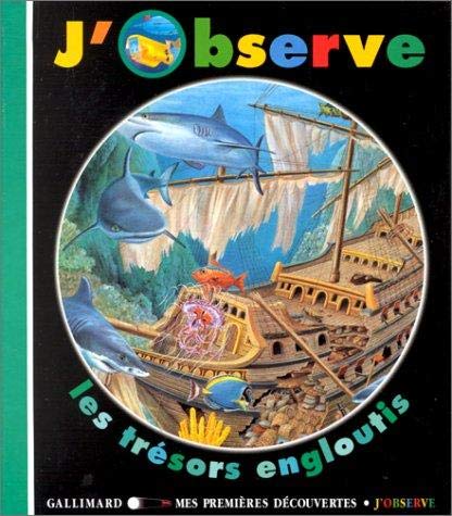 Stock image for J'Observe Les Tresors Engloutis (Mes Premieres Decouvertes) for sale by AwesomeBooks