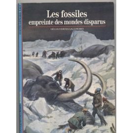 les fossiles, empreinte des mondes disparus