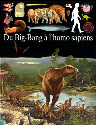 Stock image for Du big-bang a l'homo sapiens for sale by medimops