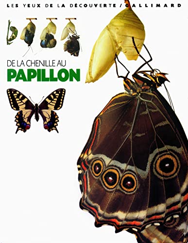 Beispielbild fr De la chenille au papillon zum Verkauf von Ammareal