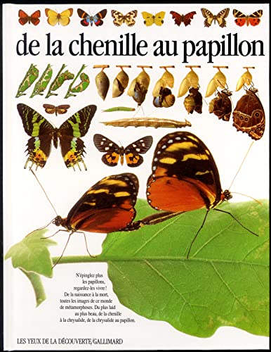 Beispielbild fr De La Chenille Au Papillon zum Verkauf von RECYCLIVRE