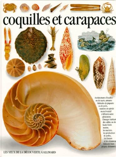 Stock image for Coquilles et carapaces for sale by medimops