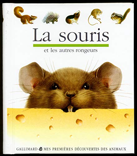 Imagen de archivo de La souris a la venta por GF Books, Inc.