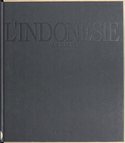 Stock image for L'Indonsie vue du ciel for sale by medimops