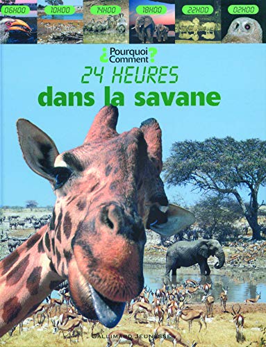 Beispielbild fr 24 heures dans la savane zum Verkauf von medimops