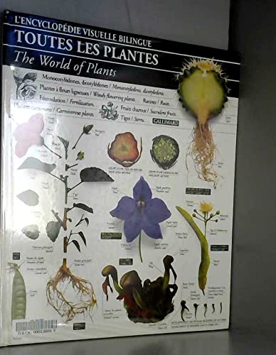 Beispielbild fr Toutes Les Plantes. The World Of Plants zum Verkauf von RECYCLIVRE