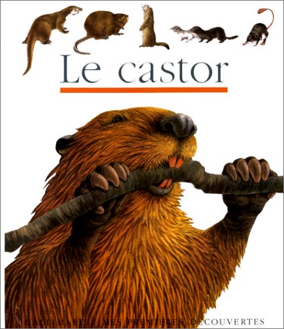 LE CASTOR (MES PREMIERES DECOUVERTES) (9782070581436) by Sylvaine PÃ©rols