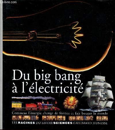 Imagen de archivo de Du big bang  l'lectricit a la venta por medimops