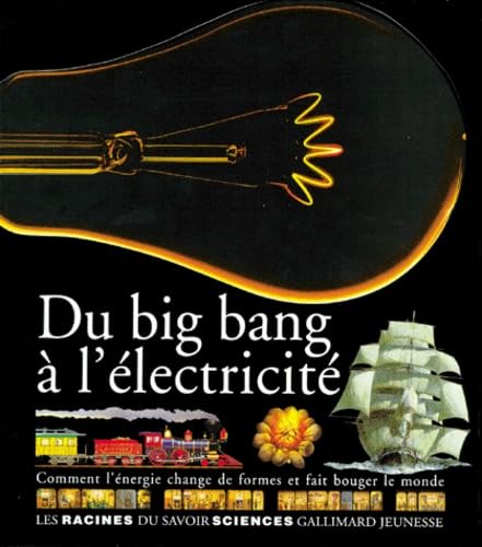 Stock image for Du big bang  l'lectricit : Comment l'nergie change de formes et fait bouger le monde for sale by Ammareal