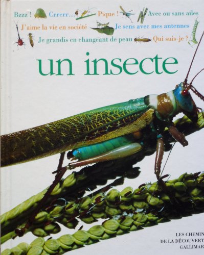 Imagen de archivo de Qui suis-je ? un insecte a la venta por Ammareal