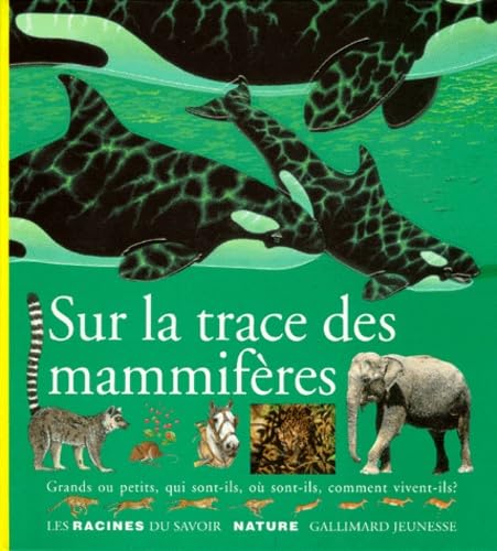 9782070584031: Sur la trace des mammifres: Grands ou petits, qui sont-ils, o sont-ils, comment vivent-ils ?