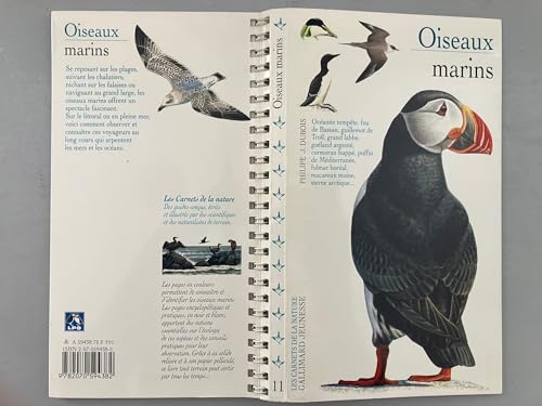 Beispielbild fr Oiseaux marins zum Verkauf von Ammareal