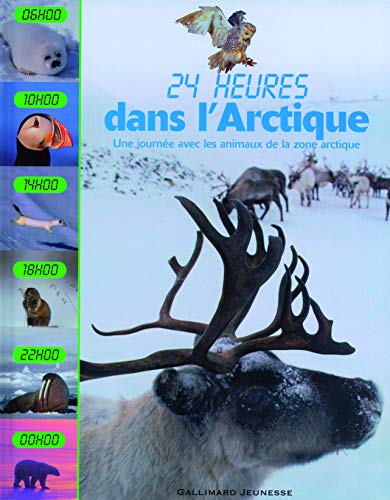 Beispielbild fr Dans l'Arctique: Une journe avec les animaux de la zone arctique zum Verkauf von Ammareal