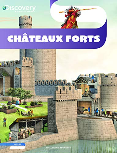 Stock image for Chteaux forts for sale by Ammareal