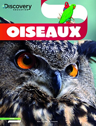 Stock image for Discovery Education: Oiseaux for sale by WorldofBooks