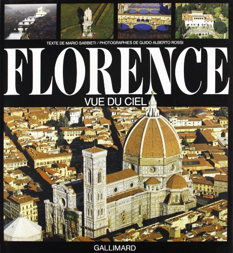 Beispielbild fr Florence vue du ciel zum Verkauf von Ammareal