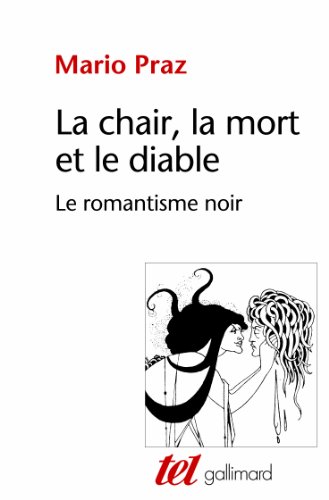 Stock image for La chair, la mort et le diable dans la littrature du xixe sicle. Le romantisme noir for sale by Mli-Mlo et les Editions LCDA