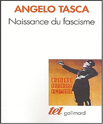 Beispielbild fr Naissance du fascisme: L'Italie de l'Armistice  la marche sur Rome zum Verkauf von Gallix