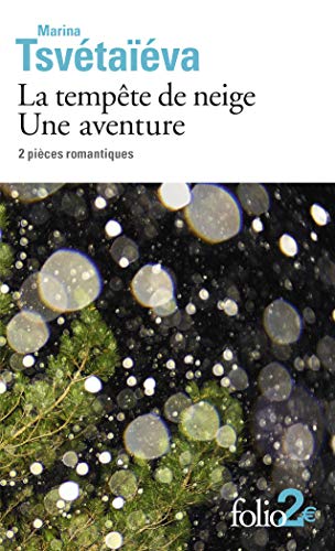 Beispielbild fr La Tempte De Neige. Une Aventure : 2 Pices Romantiques zum Verkauf von RECYCLIVRE