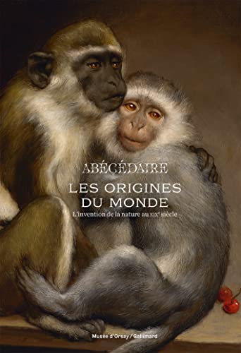 Beispielbild fr Les Origines Du Monde, Abcdaire : L'invention De La Nature Au Xixe Sicle zum Verkauf von RECYCLIVRE