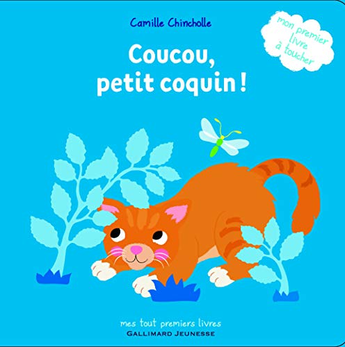 Stock image for Coucou, petit coquin ! for sale by WorldofBooks