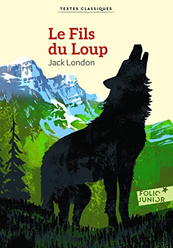 9782075099318: LE FILS DU LOUP