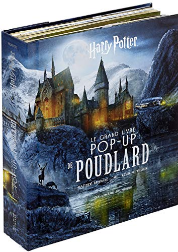 Stock image for Harry potter - le grand livre pop-up de poudlard for sale by LiLi - La Libert des Livres