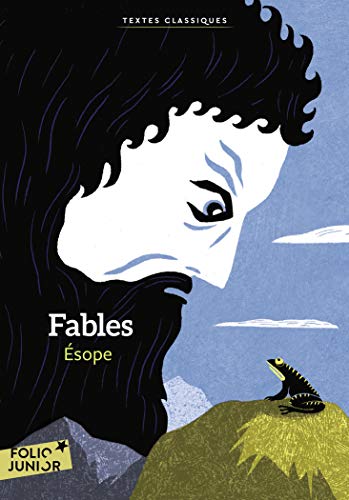 9782075120500: Fables  Folio Junior Textes classiques