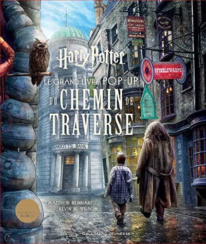 Stock image for Harry Potter : Le grand livre pop-up du Chemin de Traverse (Hors Srie Harry Potter, 211435) for sale by medimops