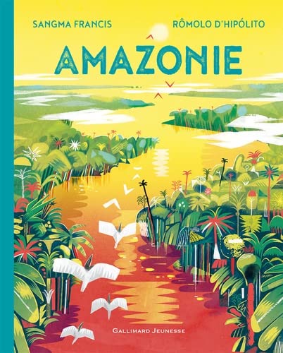 Imagen de archivo de Amazonie a la venta por RECYCLIVRE