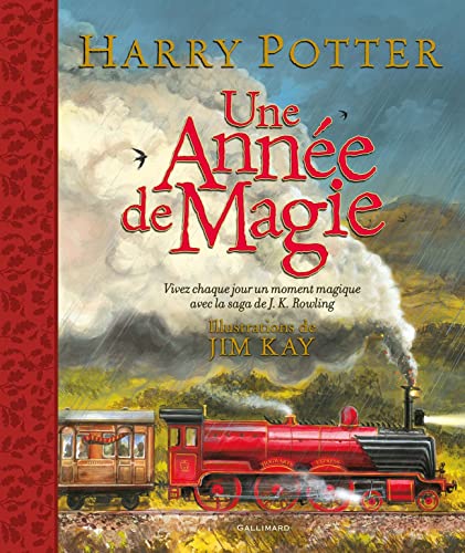 9782075174053: Harry Potter - Une anne de magie: Vivez chaque jour un moment magique