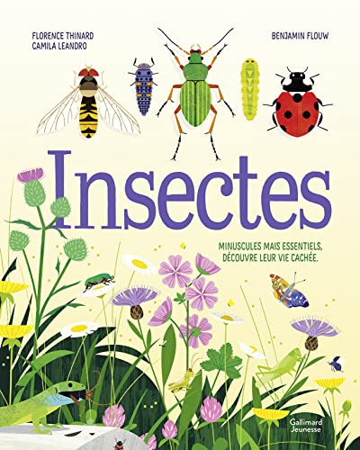 Beispielbild fr Insectes: Minuscules mais essentiels, dcouvre leur vie cache zum Verkauf von medimops