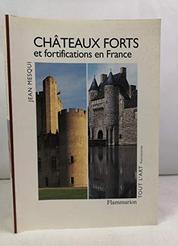 Chateaux-forts et fortifications en France - Mesqui Jean