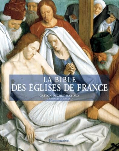 Stock image for La Bible des glises de France for sale by Ammareal