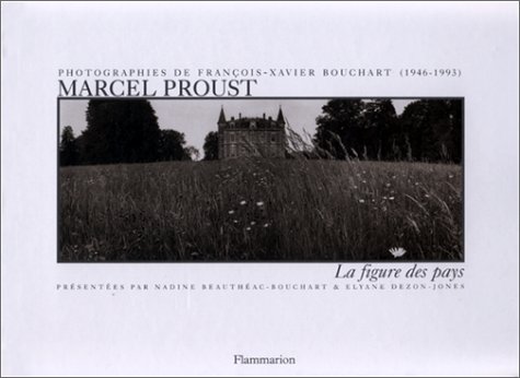 Stock image for Marcel Proust : La Figure des pays for sale by Ammareal