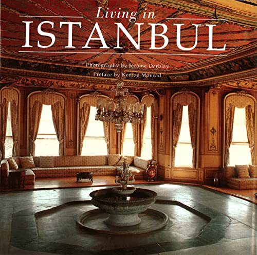 9782080135636: Living in istanbul (anglais)