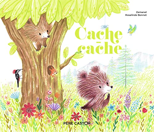 Stock image for Cache-cache for sale by WorldofBooks