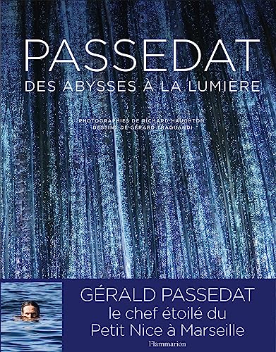 Beispielbild fr Passedat: Des abysses  la lumire zum Verkauf von Gallix