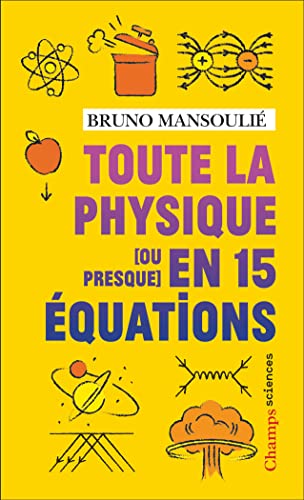 Stock image for Toute la physique [ou presque] en 15 quations for sale by Ammareal