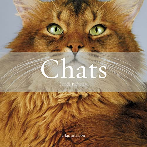 Beispielbild fr Chats Coffret en 2 volumes : Histoires de chats ; Les plus beaux chats zum Verkauf von medimops