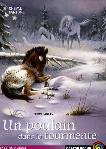 Stock image for CHEVAL FANTOME - 5 - UN POULAIN DANS LA TOURMENTE for sale by books-livres11.com