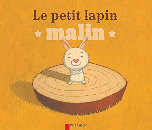 Imagen de archivo de Le petit lapin malin a la venta por medimops