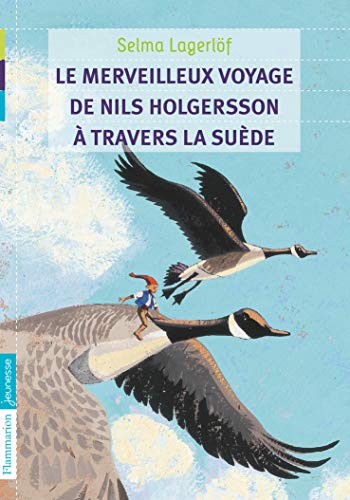 Le merveilleux voyage de Nils Holgersson à travers la Suède - Selma Lagerlöf, Michel Boucher, Agneta Ségol et Pascale Brick-Aïda