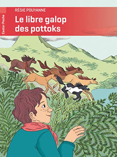 Imagen de archivo de Le libre galop des pottoks a la venta por Ammareal