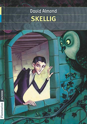 Stock image for Skellig [French language book] for sale by Reuseabook