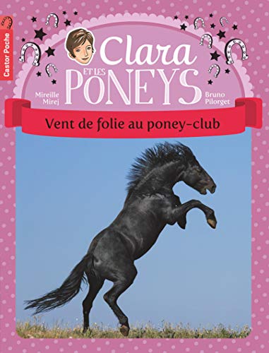 Beispielbild fr Clara et les poneys, Tome 8 : Vent de folie au poney-club zum Verkauf von Ammareal