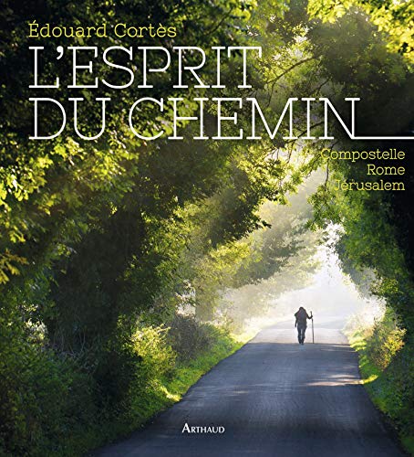 Stock image for L'Esprit du Chemin Compostelle Rome Jerusalem for sale by Librairie Le Lieu Bleu Paris