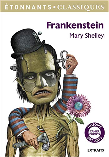 Imagen de archivo de Frankenstein a la venta por Ammareal