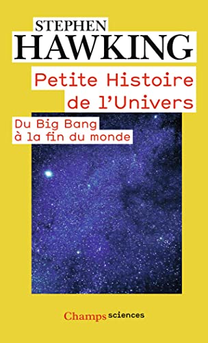Beispielbild fr petite histoire de l'univers ; du big bang  la fin du monde zum Verkauf von Chapitre.com : livres et presse ancienne