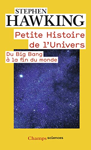 Stock image for petite histoire de l'univers ; du big bang  la fin du monde for sale by Chapitre.com : livres et presse ancienne